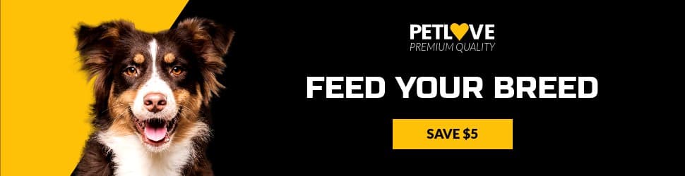 Feed Your Breed Pet Love