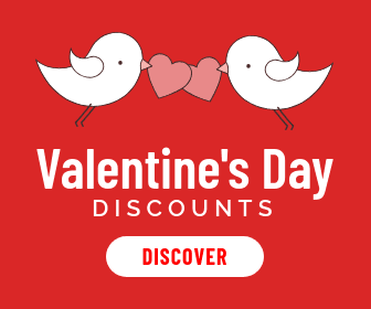 Valentine's Day Bird Discounts Large Rectangle