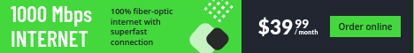 1000 Mbps Fiber Optic Internet