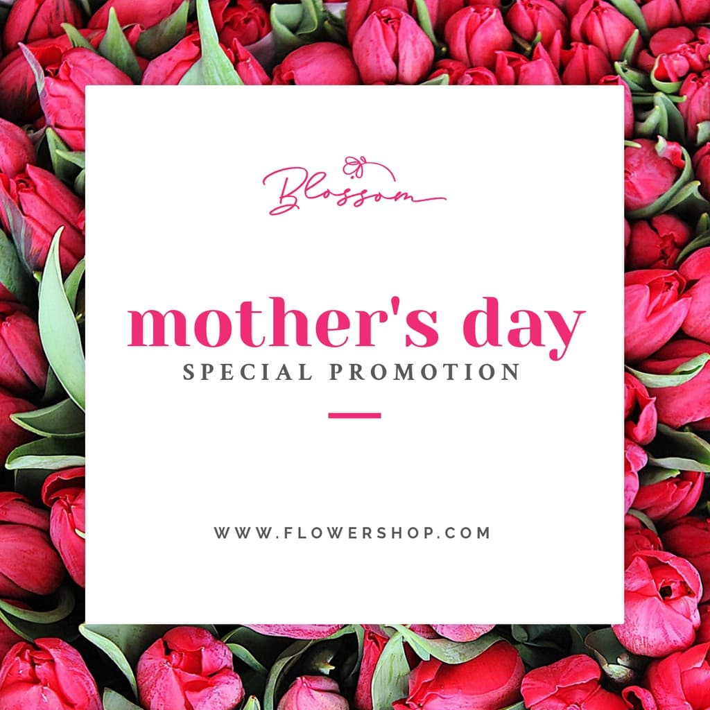 Mothers Day Special Promotion Tulips