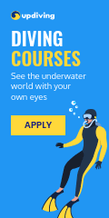See the Underwater World Diving Courses Vertical Banner