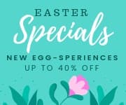 Easter Specials New Egg-sperience Small Rectangle