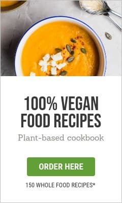 100 Vegan Food Recipes Vertical Rectangle