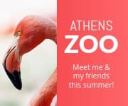Meet the Flamingo at the Athens Zoo Small Rectangle