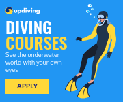 See the Underwater World Diving Courses Small Rectangle