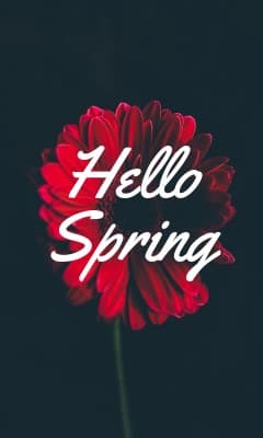 Hello Spring Red Flower Vertical Rectangle