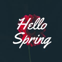 Hello Spring Red Flower Square