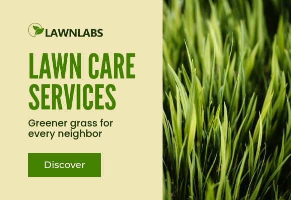 Greener Grass Lawn Care Services Netboard