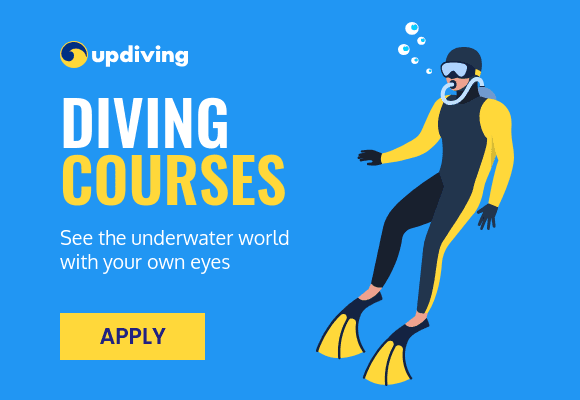 See the Underwater World Diving Courses Netboard