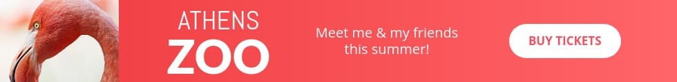 Meet the Flamingo at the Athens Zoo Panorama