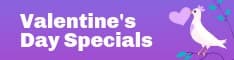 Valentine's Day Dove Specials Half Banner