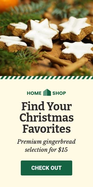 Christmas Gingerbread Favorites