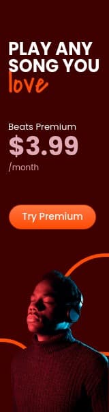 Play Any Song Beats Premium Wide Skyscraper