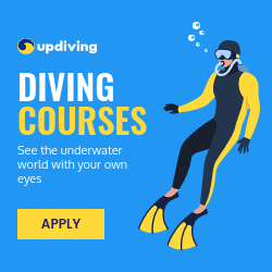 See the Underwater World Diving Courses Square