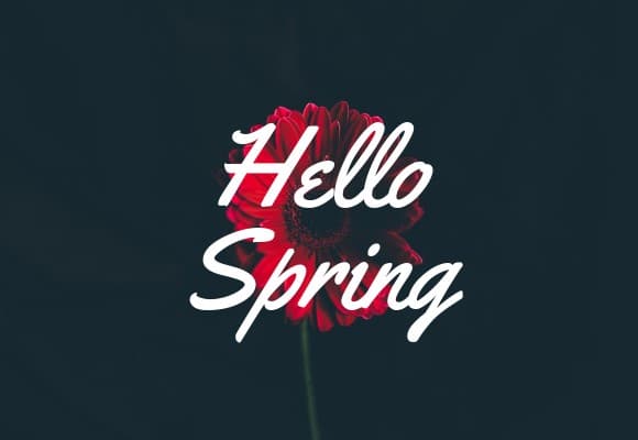 Hello Spring Red Flower Netboard