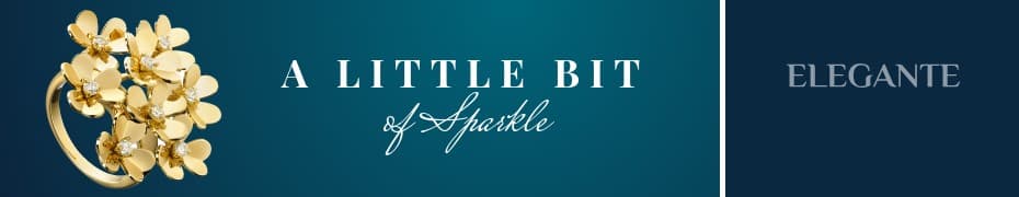 A Little Bit of Sparkle Top Banner