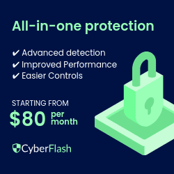 Cyber Flash Antivirus Protection