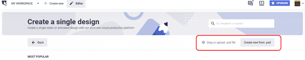 drag psd file thebrief