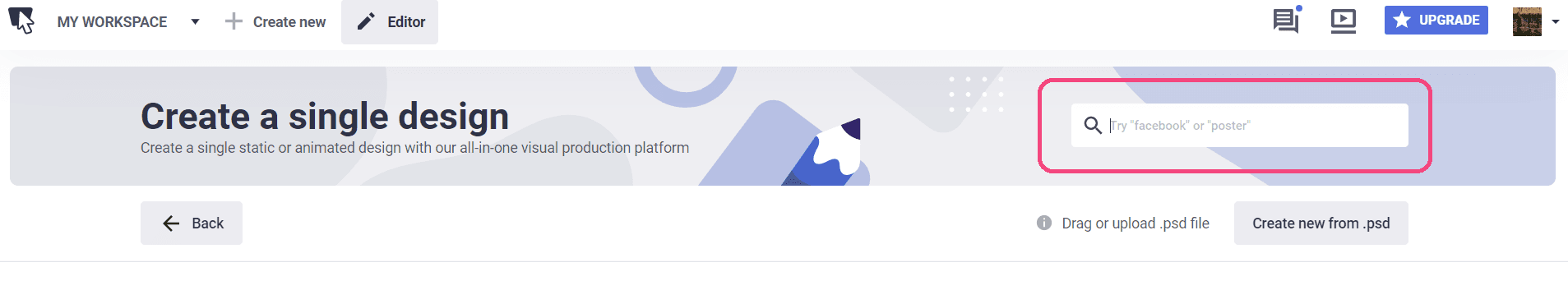 search function thebrief