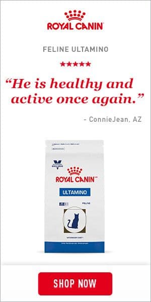 royal canin banner button design