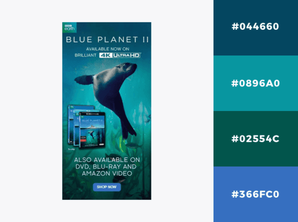 blue sea color palette