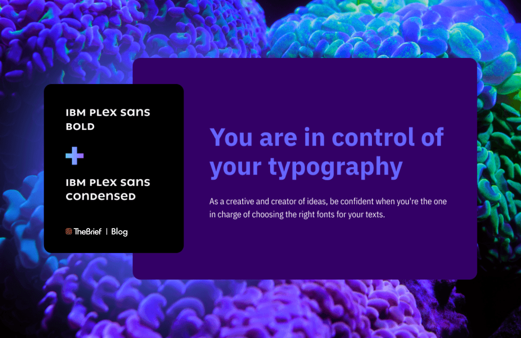 IBM Plex font pairing