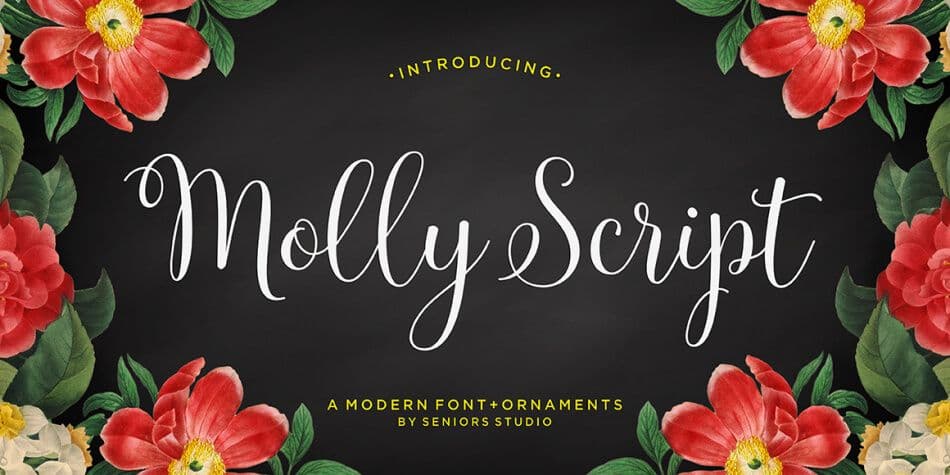 Molly Script hand lettering font