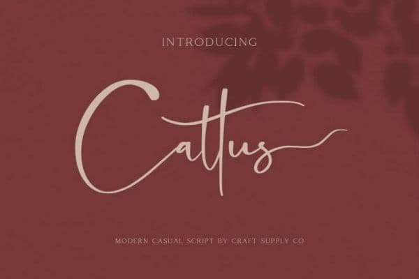 cattus font