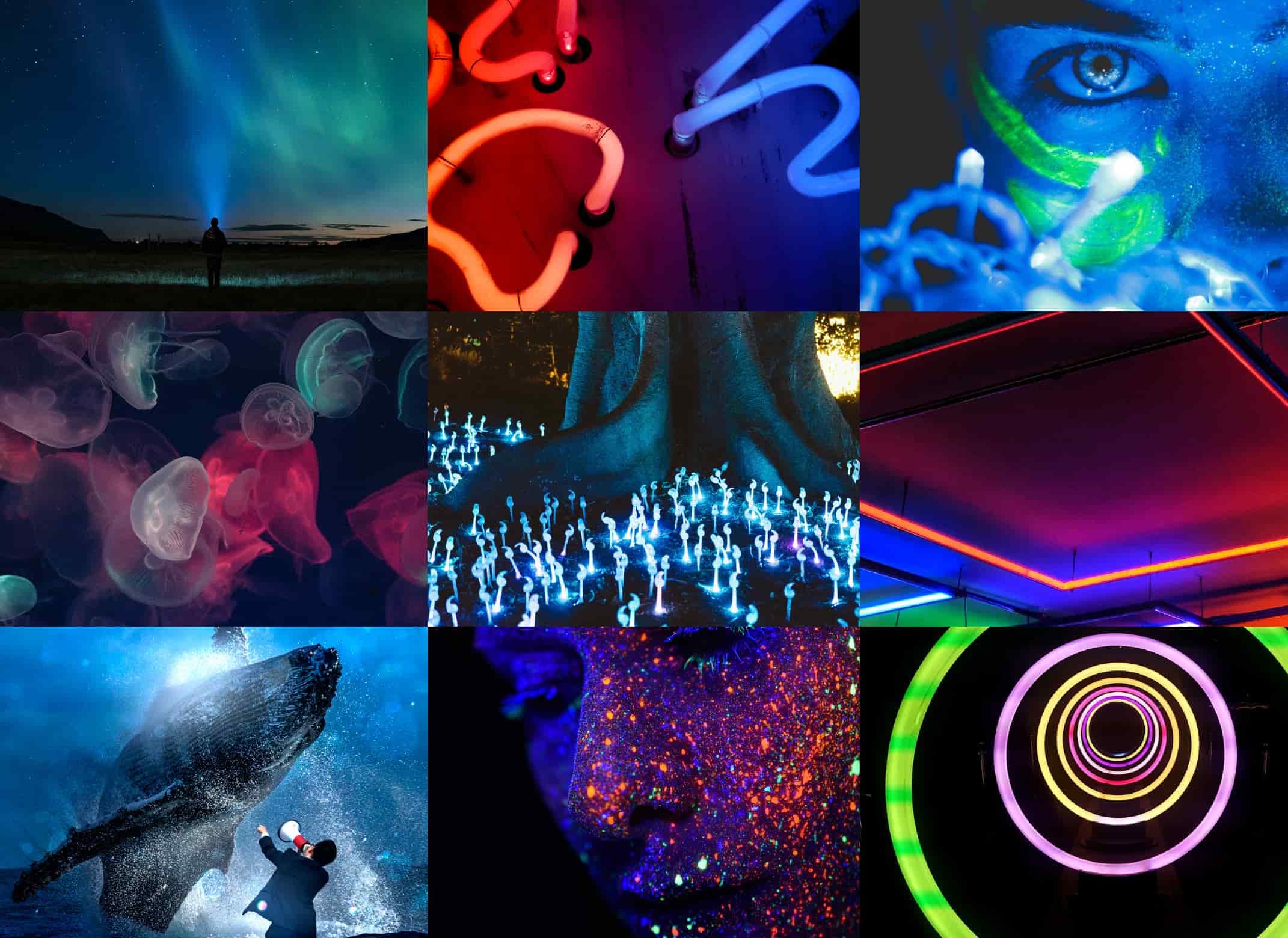 visual imagery thebrief