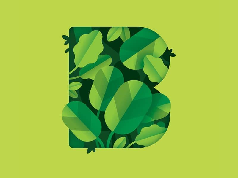botanical elements - graphic design trends - 2019